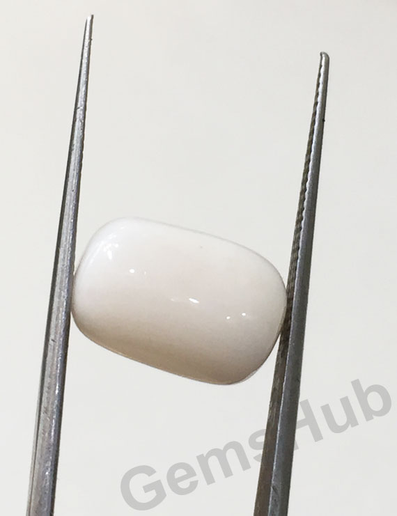 7.50 ratti/6.75 ct Natural Certified  White Coral/सफ़ेद मूंगा